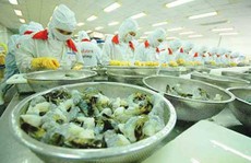Khó xảy ra việc Mỹ áp thuế trừng phạt Việt Nam