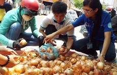 Người Sài Gòn 'giải cứu hành tây' giúp nông dân Đà Lạt