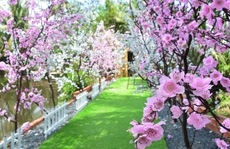 Đẹp như phim trường Love Story