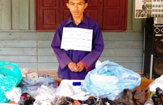 Bắt 2 đối tượng người Lào vận chuyển 34 bánh heroin