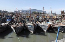 Hàn Quốc phản ứng mạnh vụ tàu cá Trung Quốc đâm chìm tàu tuần duyên