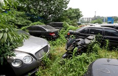 Cận cảnh dàn siêu xe bí ẩn bị đại gia Trung Quốc bỏ rơi trong rừng