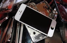Apple thu gần 1 tấn vàng mỗi năm nhờ tái chế iPhone