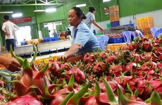 Tổ chức nước ngoài hỗ trợ Việt Nam xuất khẩu thanh long, chanh dây