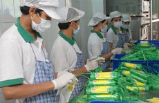 Đừng để doanh nghiệp đơn độc (*): Làm ăn ngày càng khó