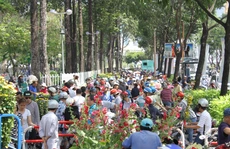Tiểu thương bán đổ bán tháo hoa Tết