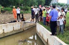 Phát hiện 2 người đàn ông tử vong cạnh Quốc lộ 10