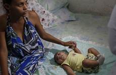 Zika “đe dọa” hơn 2 tỉ người
