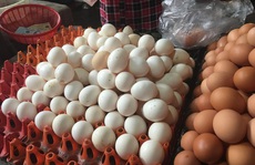 Bí ẩn trứng gà ta giá rẻ bán đầy chợ