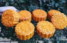 Làm thêm 1 tháng, phụ nữ công sở thu 200 triệu