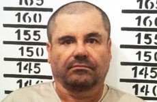 Mexico bắt chuyên gia rửa tiền của trùm ma túy Guzman