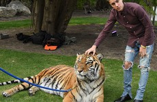Khoe ảnh chụp cùng hổ, Justin Bieber bị chỉ trích
