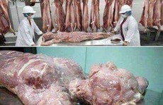 Truy ra nguồn cơn vụ 'Trung Quốc đóng hộp thịt người'