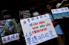 Dân Đài Loan gây sức ép lên Formosa về vụ cá chết ở Việt Nam