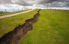 New Zealand: “Vạn lý trường thành” xuất hiện sau động đất
