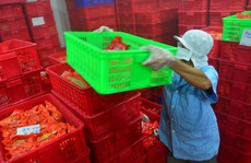 Thủ tướng chỉ đạo giải quyết kiến nghị của Vietfoods