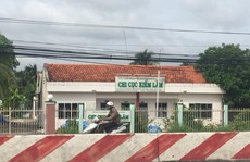 Bị phạt vì gỗ… hợp pháp