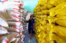 Vì sao gạo Việt “đội lốt” gạo Thái?