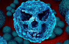 Dùng kháng sinh bừa bãi, 3 giây siêu vi khuẩn sẽ giết 1 người