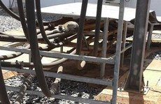 Kenya: Cả nước mất điện vì một con khỉ