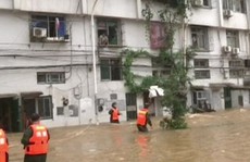 Trung Quốc: Lụt lớn 'đẩy' cá sấu ra đồng