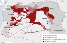 IS mất 28% lãnh thổ ở Syria và Iraq