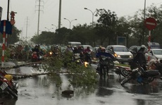 Hà Nội: Gió giật kinh hoàng, hàng trăm người bỏ xe chạy