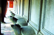 Nhân tài và dân chủ