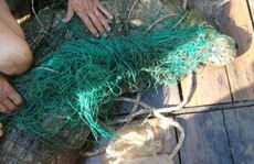 Tóm gọn cá sấu khủng trên sông Soài Rạp