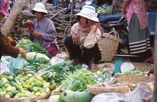 Campuchia lo nông sản nhiễm hóa chất độc hại