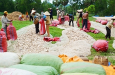 Thay đổi mô hình khi lũ chưa về
