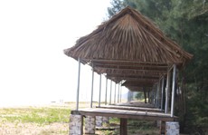 Phát hiện nam thanh niên treo cổ trên bãi biển