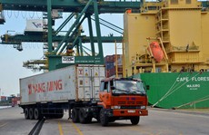 Xuất siêu 11 tháng cao kỷ lục