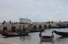 Vụ Formosa làm cá chết ở miền Trung: Hỗ trợ dân cho đến khi biển sạch