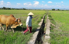 “Kiên cố hóa” sao quá... sơ sài!