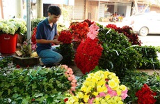 Hoa Đà Lạt khan hiếm dịp 20-10