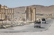 IS tái chiếm TP Palmyra