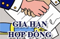 Không gia hạn hợp đồng lao động