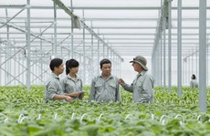 Vingroup liên kết với 1.000 HTX và hộ nông dân cung ứng nông sản sạch và an toàn