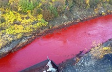 Nga: Bí ẩn hiện tượng sông máu
