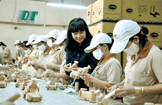 Gỗ Đức Thành vào top 50 công ty niêm yết tốt nhất