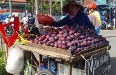Mận Trung Quốc gắn mác Hà Nội trên đường phố Sài Gòn