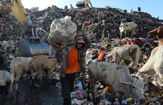 Ngân hàng cho vay tiền, nhận trả nợ bằng... rác