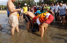 Nỗ lực giải cứu cá heo dạt bờ biển Quy Nhơn