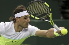 Nadal thẳng tiến tứ kết Qatar Open, Murray bại trận ở Hopman Cup