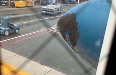 Ong vỡ tổ làm trễ chuyến bay Vietnam Airlines