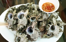 'Phố ốc' ở trung tâm Hạ Long