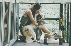 Khu nghỉ hoang sơ giữa rừng không mất tiền ở Đà Lạt