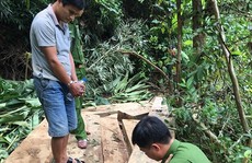 Nghệ An: Bắt lâm tặc phá rừng phòng hộ