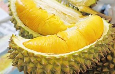 Giả sầu riêng rụng trên các trang bán hàng online